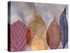 Leaf Patterns I-Kathy Mahan-Stretched Canvas