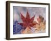Leaf Patterns II-Kathy Mahan-Framed Photographic Print
