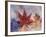 Leaf Patterns II-Kathy Mahan-Framed Photographic Print