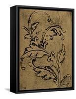 Leaf Scroll II-Tiffany Hakimipour-Framed Stretched Canvas