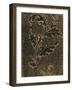 Leaf Scroll III-Tiffany Hakimipour-Framed Art Print