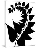 Leaf Silhouette IV-Chariklia Zarris-Stretched Canvas