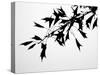 Leaf Silhouette-Nicole Katano-Stretched Canvas