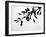 Leaf Silhouette-Nicole Katano-Framed Photo