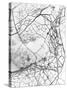 Leaf Skeleton BW-Design Fabrikken-Stretched Canvas