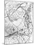 Leaf Skeleton BW-Design Fabrikken-Mounted Photographic Print