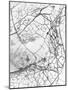 Leaf Skeleton BW-Design Fabrikken-Mounted Photographic Print