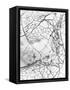 Leaf Skeleton BW-Design Fabrikken-Framed Stretched Canvas