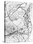 Leaf Skeleton BW-Design Fabrikken-Stretched Canvas