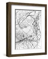 Leaf Skeleton BW-Design Fabrikken-Framed Photographic Print