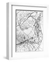 Leaf Skeleton BW-Design Fabrikken-Framed Photographic Print