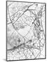 Leaf Skeleton BW-Design Fabrikken-Mounted Photographic Print