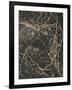 Leaf Skeleton Dark-Design Fabrikken-Framed Photographic Print