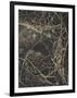 Leaf Skeleton Dark-Design Fabrikken-Framed Premium Photographic Print