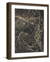 Leaf Skeleton Dark-Design Fabrikken-Framed Photographic Print