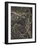 Leaf Skeleton Dark-Design Fabrikken-Framed Photographic Print