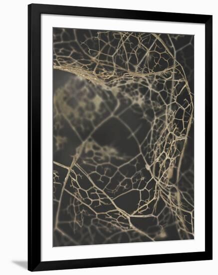 Leaf Skeleton Dark-Design Fabrikken-Framed Photographic Print