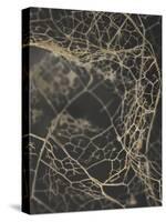 Leaf Skeleton Dark-Design Fabrikken-Stretched Canvas