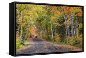Leaf strewn gravel road near Copper Harbor, Michigan, USA-Chuck Haney-Framed Stretched Canvas