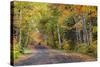 Leaf strewn gravel road near Copper Harbor, Michigan, USA-Chuck Haney-Stretched Canvas