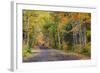 Leaf strewn gravel road near Copper Harbor, Michigan, USA-Chuck Haney-Framed Photographic Print