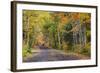 Leaf strewn gravel road near Copper Harbor, Michigan, USA-Chuck Haney-Framed Photographic Print