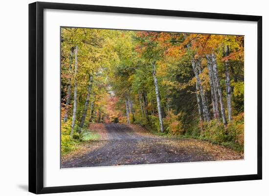 Leaf strewn gravel road near Copper Harbor, Michigan, USA-Chuck Haney-Framed Photographic Print