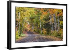 Leaf strewn gravel road near Copper Harbor, Michigan, USA-Chuck Haney-Framed Photographic Print