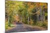 Leaf strewn gravel road near Copper Harbor, Michigan, USA-Chuck Haney-Mounted Photographic Print