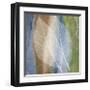 Leaf Structure I-John Rehner-Framed Giclee Print