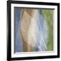 Leaf Structure I-John Rehner-Framed Giclee Print