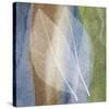 Leaf Structure I-John Rehner-Stretched Canvas