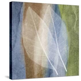 Leaf Structure I-John Rehner-Stretched Canvas