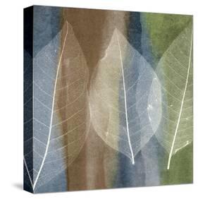 Leaf Structure II-John Rehner-Stretched Canvas