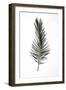 Leaf Study 03-Shot by Clint-Framed Giclee Print