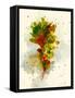 Leaf Study II-Chamira Young-Framed Stretched Canvas