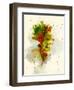 Leaf Study II-Chamira Young-Framed Art Print