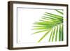 Leaf Study III-Donnie Quillen-Framed Premium Giclee Print