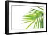 Leaf Study III-Donnie Quillen-Framed Premium Giclee Print