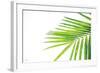 Leaf Study III-Donnie Quillen-Framed Art Print