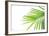 Leaf Study III-Donnie Quillen-Framed Art Print