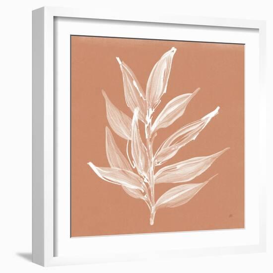 Leaf Study IV Pheasant-Chris Paschke-Framed Art Print