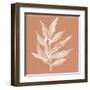 Leaf Study IV Pheasant-Chris Paschke-Framed Art Print