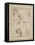 Leaf Study of Figures in the Spandrels and Cartoons-Giovanni Lanfranco-Framed Stretched Canvas