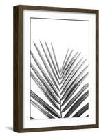 Leaf Study V-Donnie Quillen-Framed Art Print