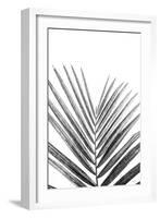 Leaf Study V-Donnie Quillen-Framed Art Print