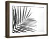 Leaf Study VI-Donnie Quillen-Framed Art Print