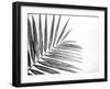 Leaf Study VI-Donnie Quillen-Framed Art Print