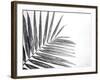 Leaf Study VI-Donnie Quillen-Framed Art Print