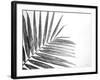 Leaf Study VI-Donnie Quillen-Framed Art Print